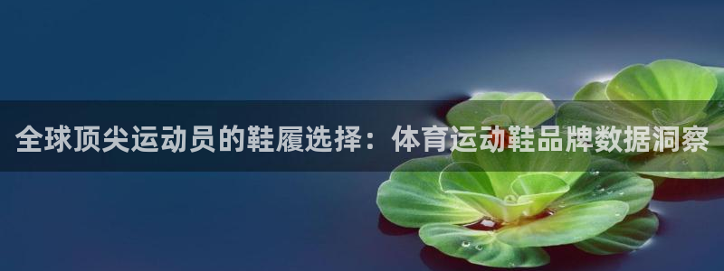 制胜体育直播：全球顶尖运动员的鞋履选择：体育运动鞋品牌数据洞察