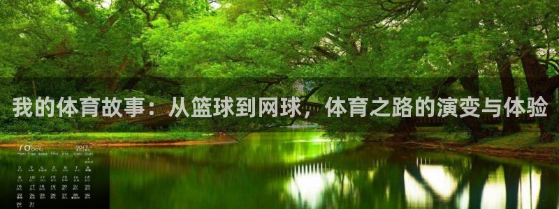 制胜体育手机版下载安装：我的体育故事：从篮球到网球，体育之路的演变与体验