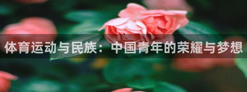 制胜体育App下载：体育运动与民族：中国青年的荣耀与梦想