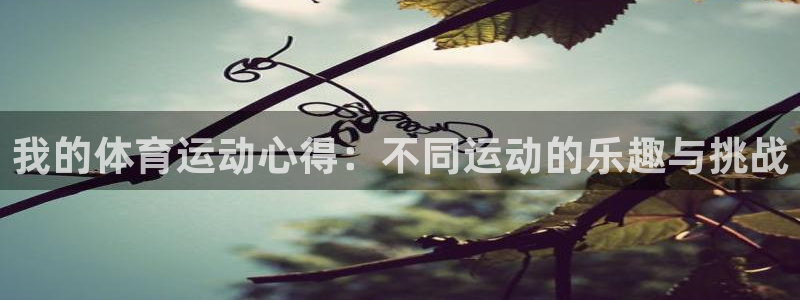 制胜体育vip免费领取：我的体育运动心得：不同运动的乐趣与挑战