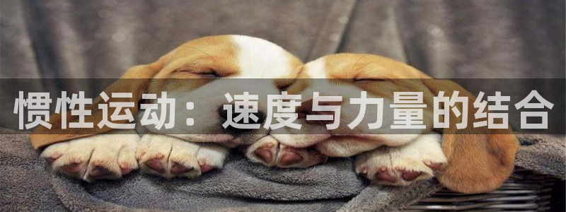 制胜体育篮球直播在线观看：惯性运动：速度与力量的结合