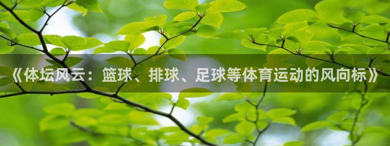 制胜体育在线下载：《体坛风云：篮球、排球、足球等体育运动的风向标》